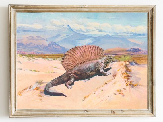 Dimetrodon Dinosaur